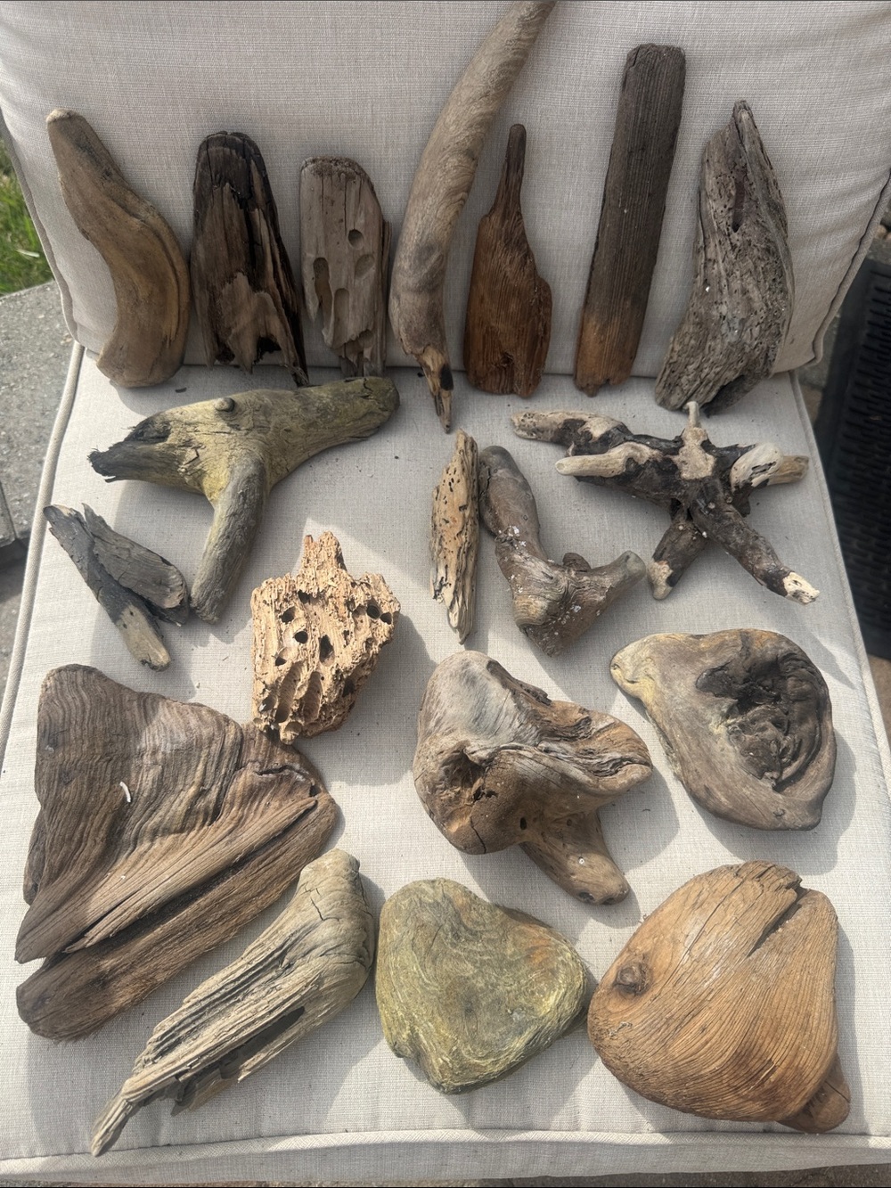 For LYNDA 19 pc (5 lb shipped) Natural Driftwood for Craft, Projects, Upcycle - Picture 2 of 16